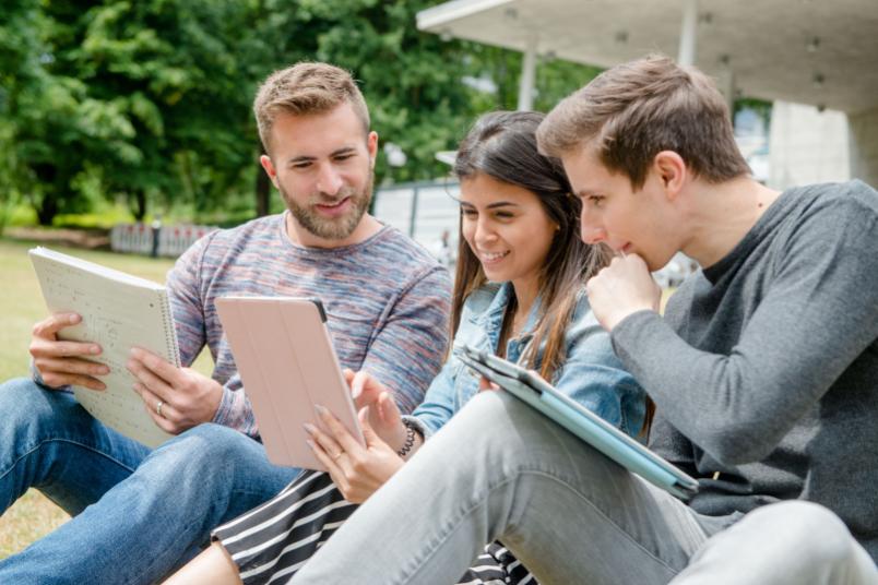 Studierende sitzen auf einer Wiese.