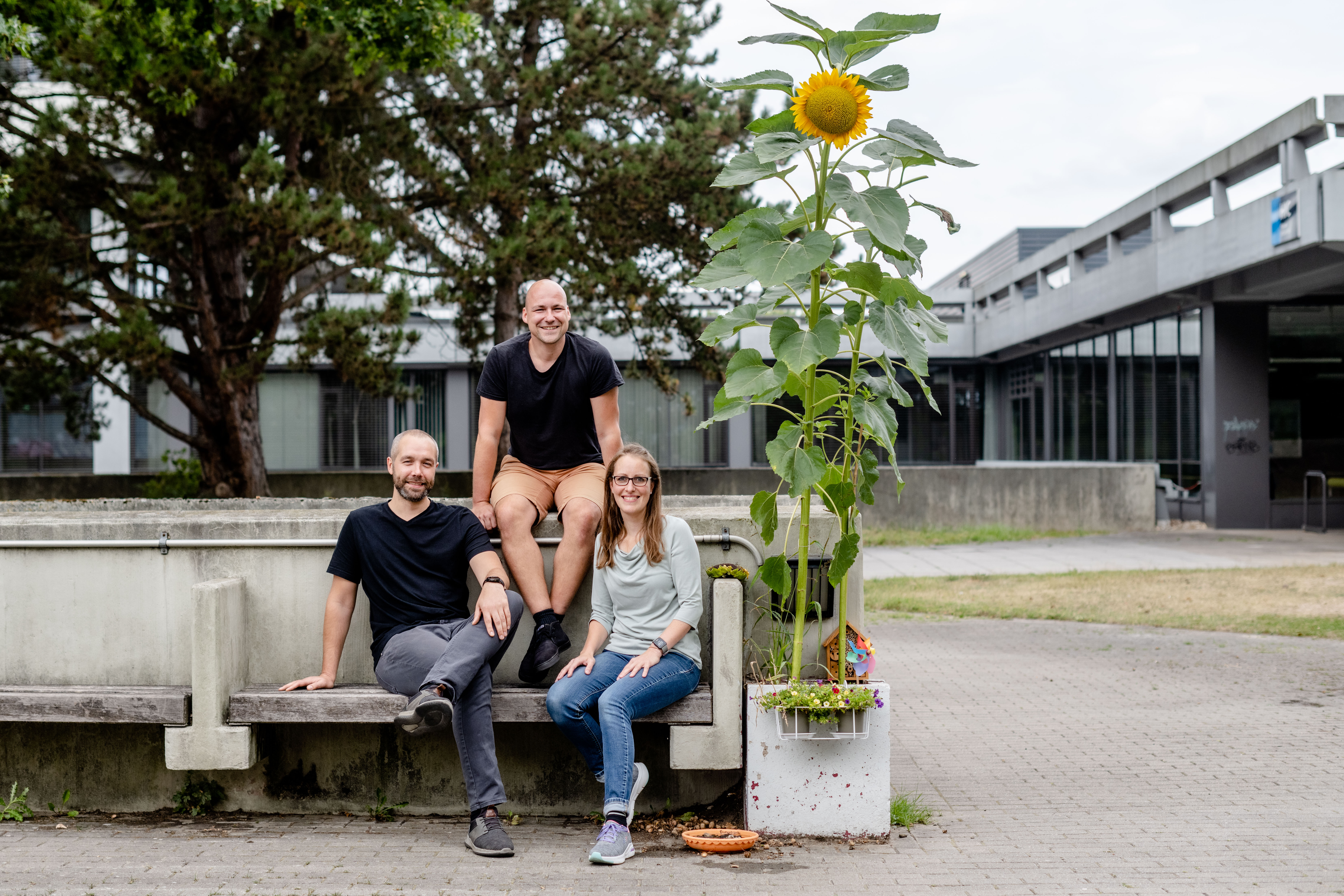 Drei Personen neben Betonkübel mit großer Sonnenblume, Insektenhotel und Windrad.