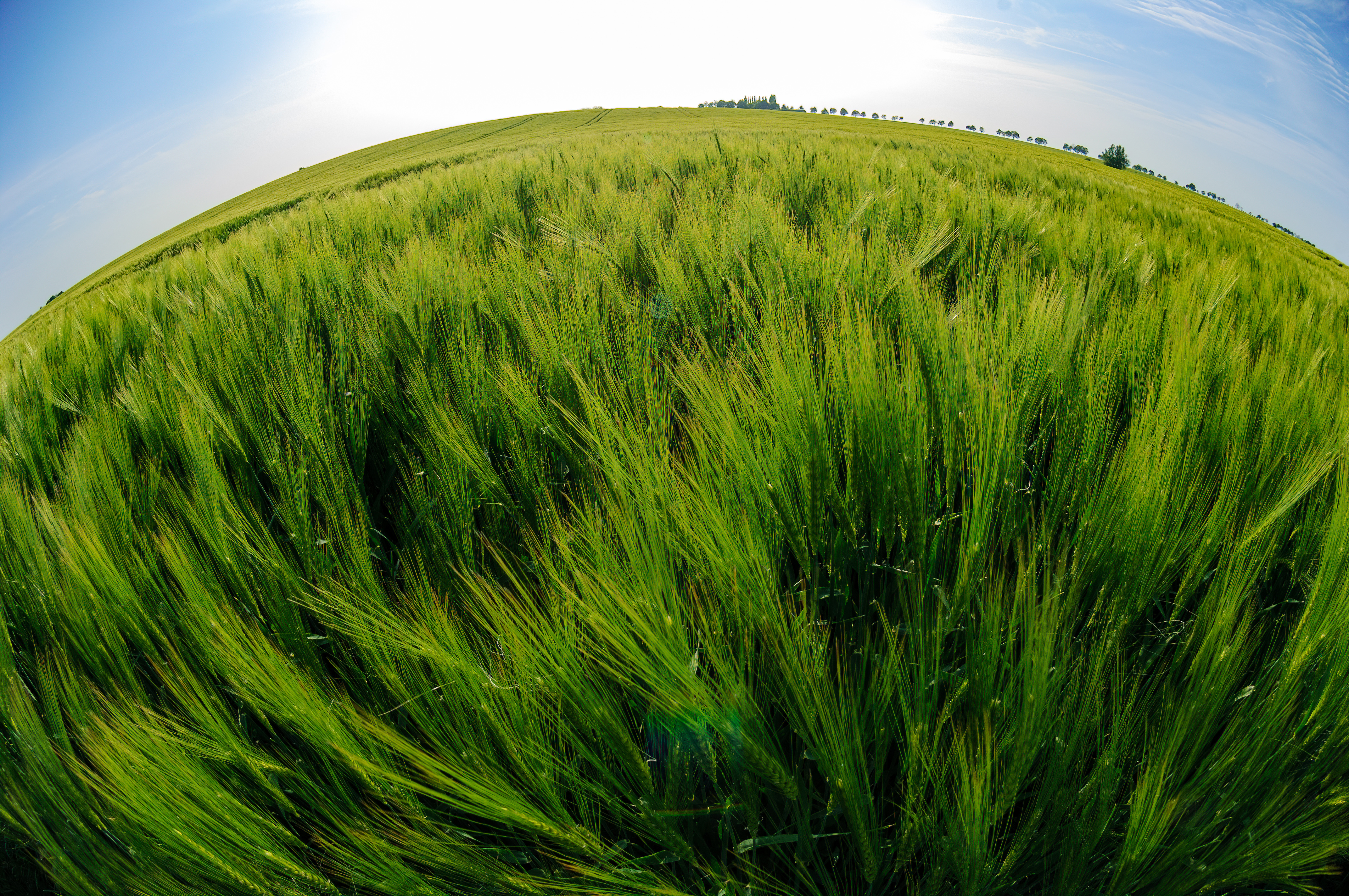 Landwirtschaftliche Fläche