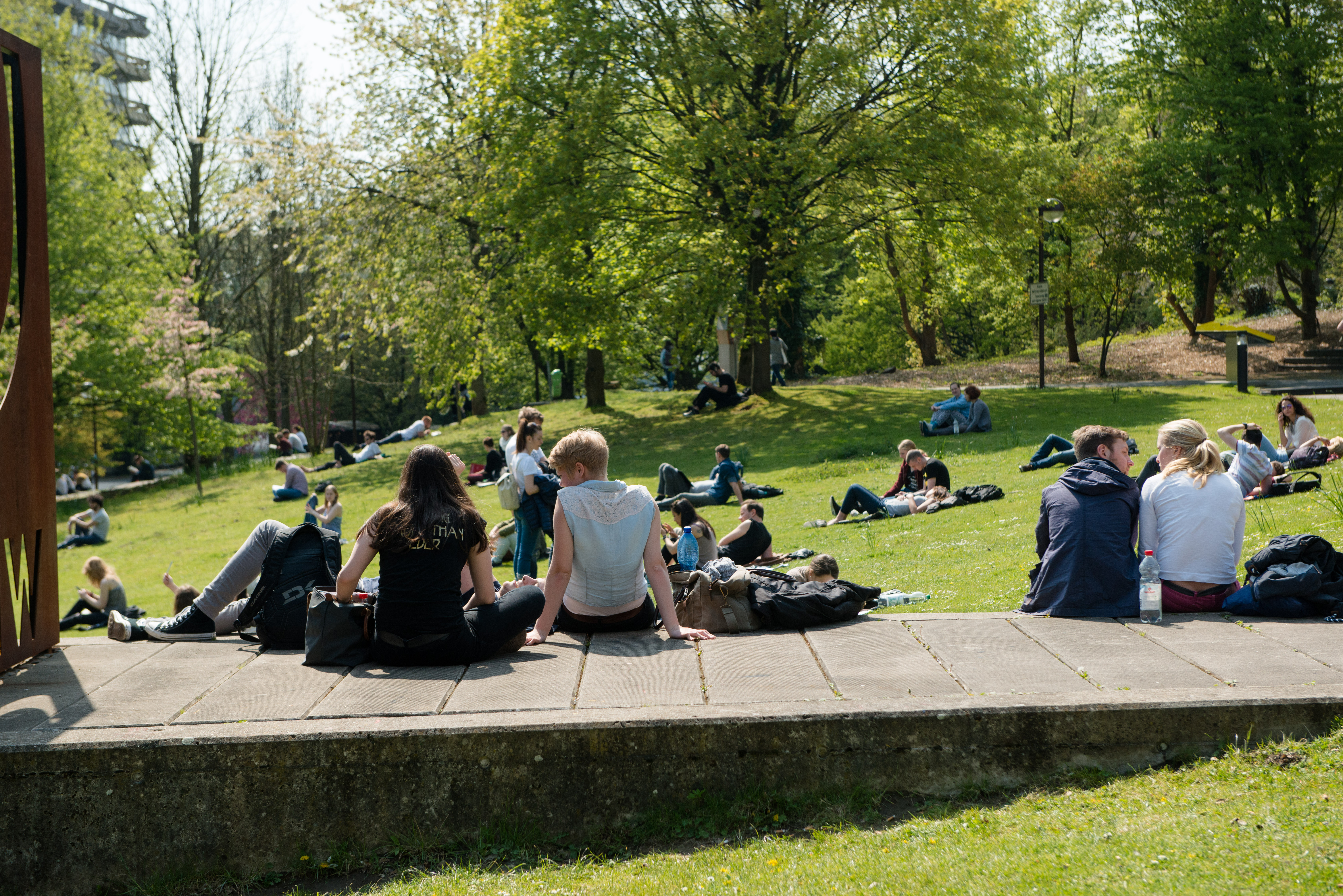 Studierende auf der Wiese