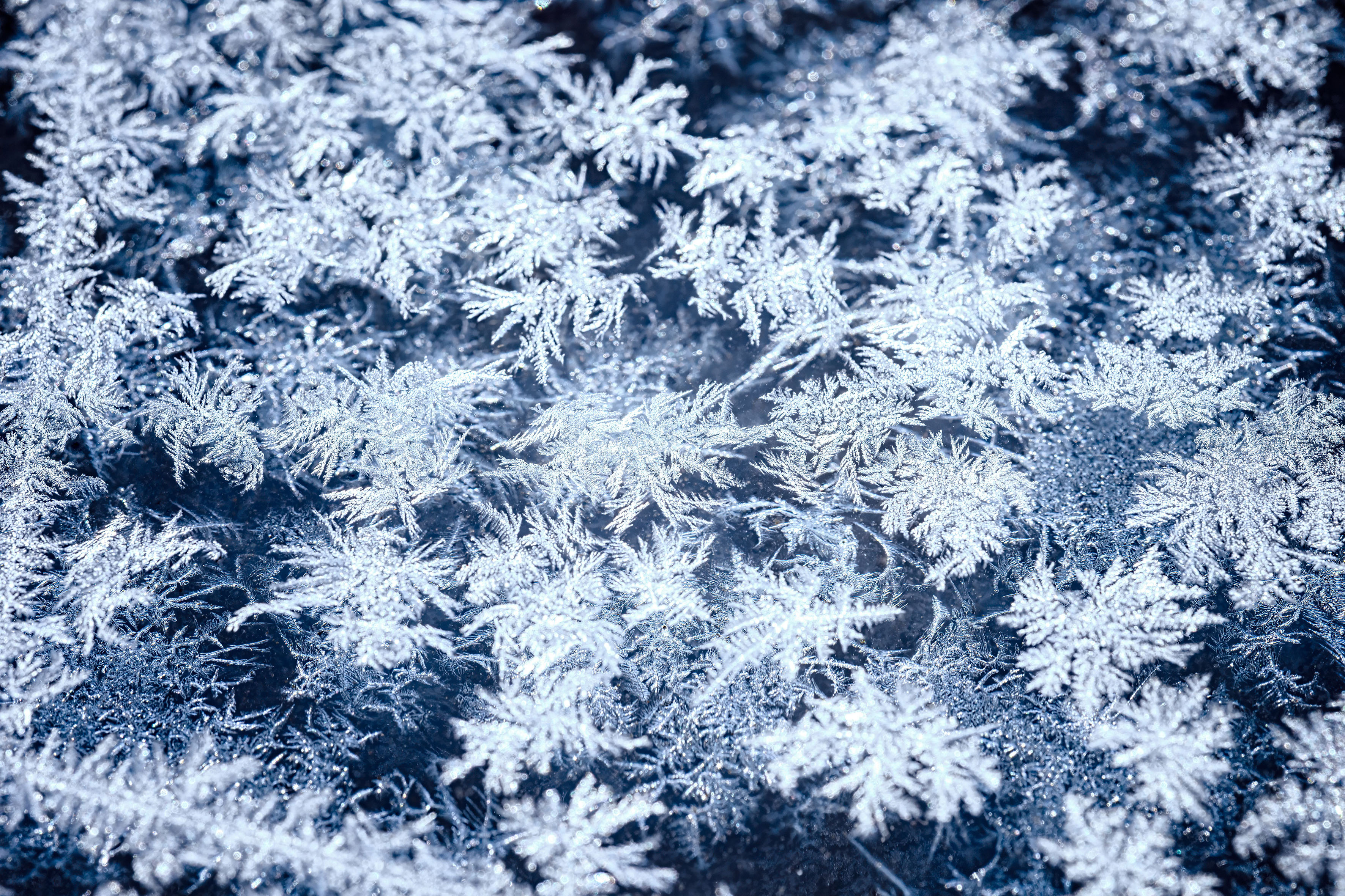 Eiskristalle auf dunklem Hintergrund