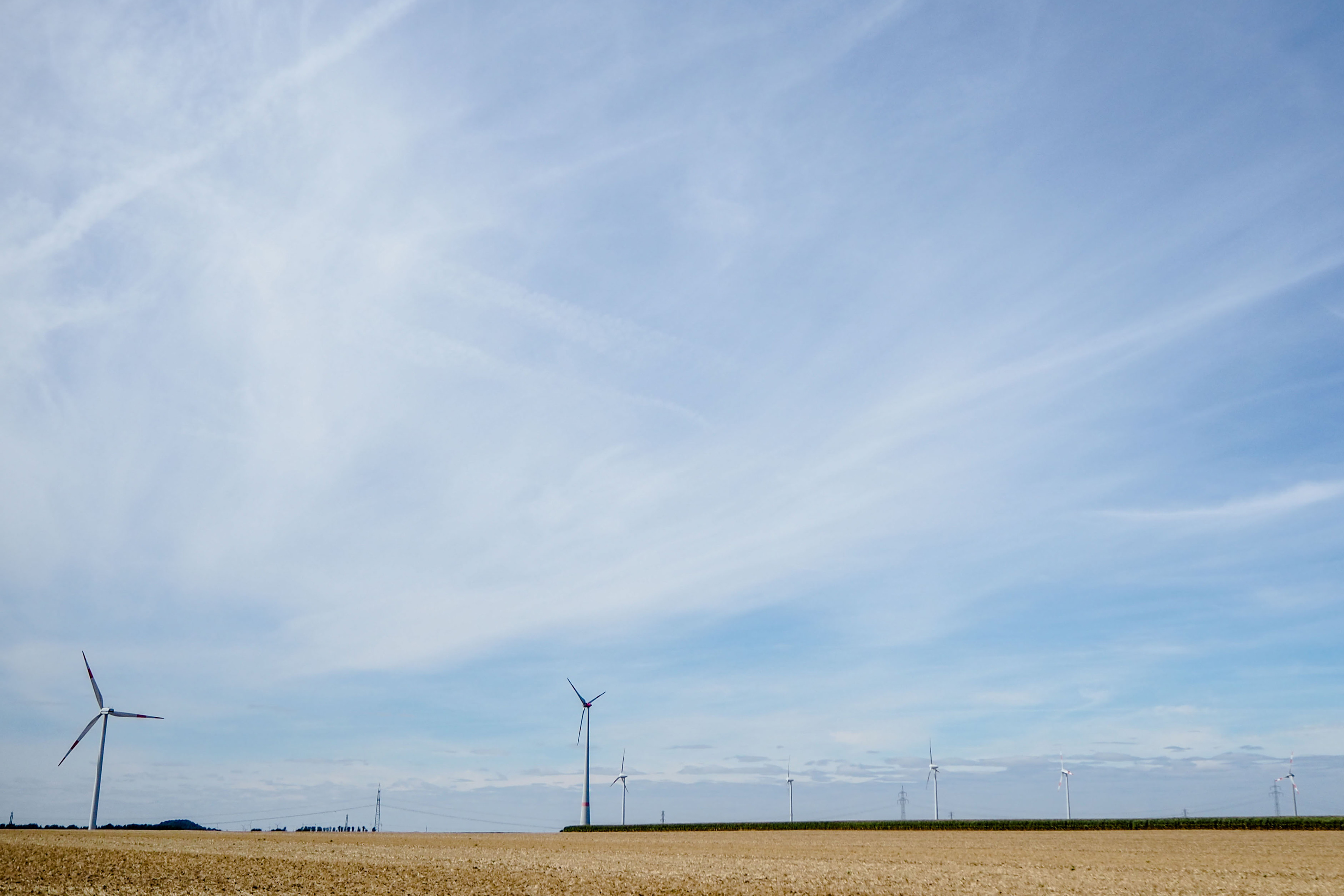 Windräder auf einem Feld