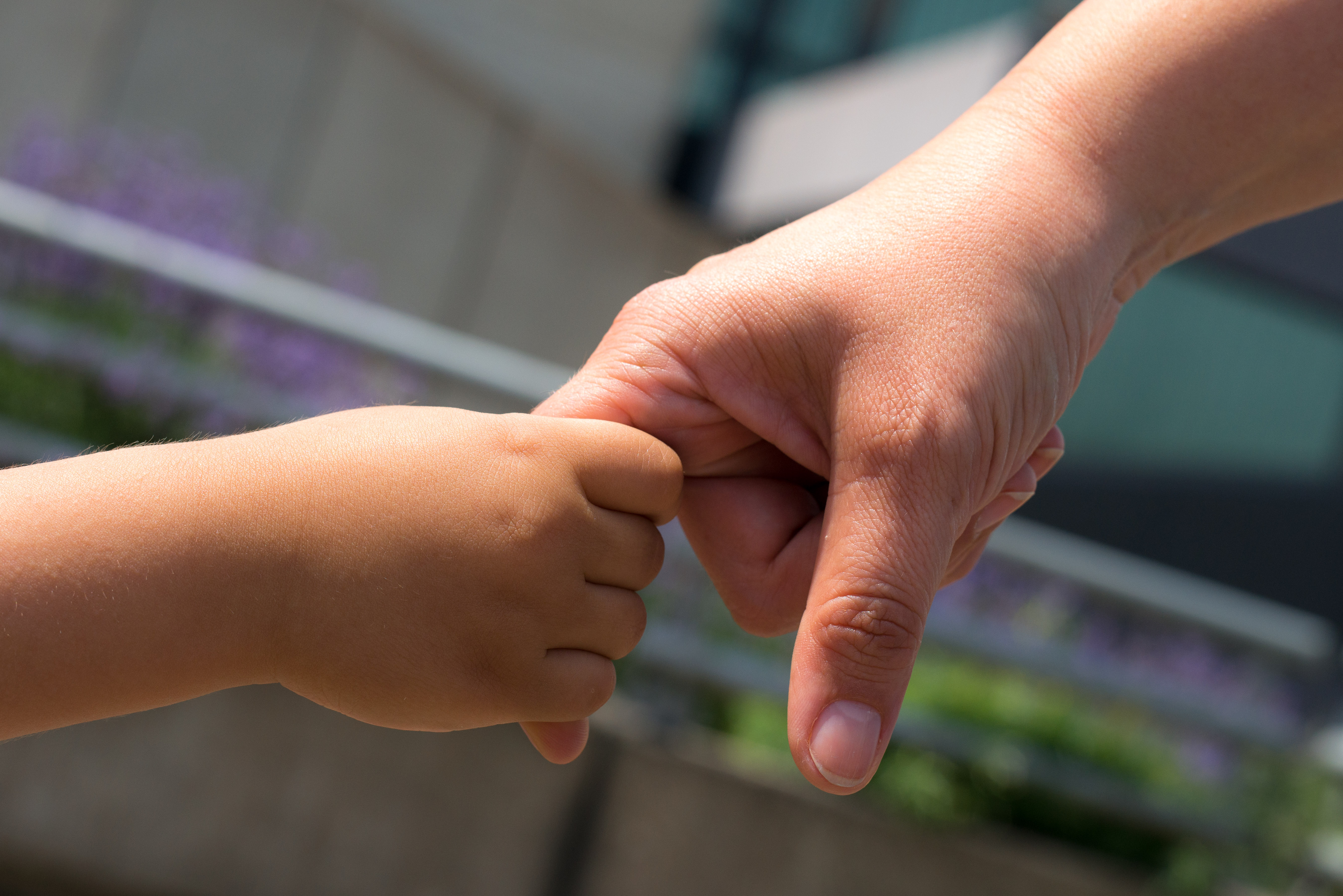 Eine Kinderhand hält eine Erwachsenenhand