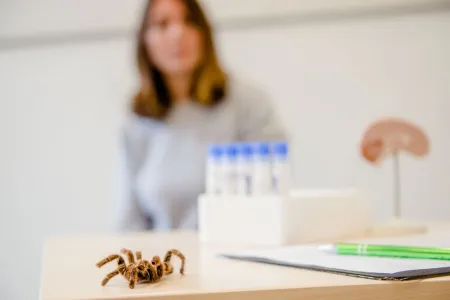Spinne auf einem Tisch in einem Labor
