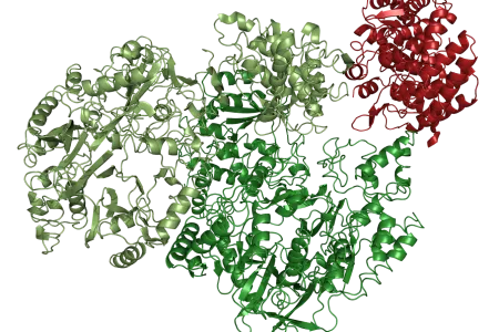 Strukturaufklärung, bei der mehrere Methoden kombiniert wurden. Zu sehen ist der Enzymkomplex des Bakteriums Clostridium maddingley.