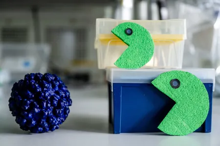 Grüne Pacmans fressen einen blauen Viruspartikel