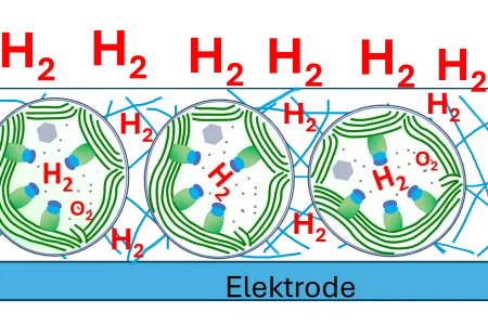 Grafik: Enzyme, die Wasserstoff erzeugen