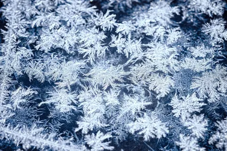 Eiskristalle auf dunklem Hintergrund