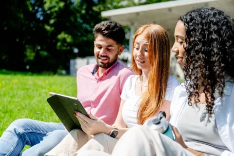 Studierende sitzen auf einer Wiese