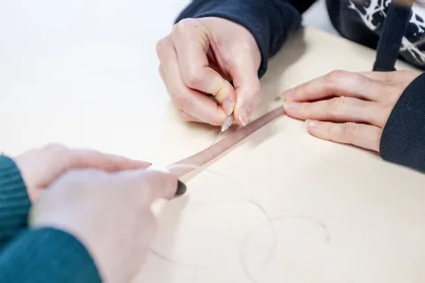 Hände halten ein Schwanzmodell, eine anderen Hand platziert eine Spritze