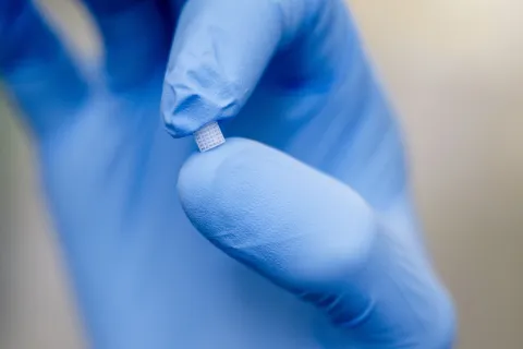Eine Hand im Handschuh hält ein winziges weißes Kügelchen
