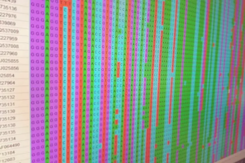 Blick auf einen Monitor mit bunden Spalten