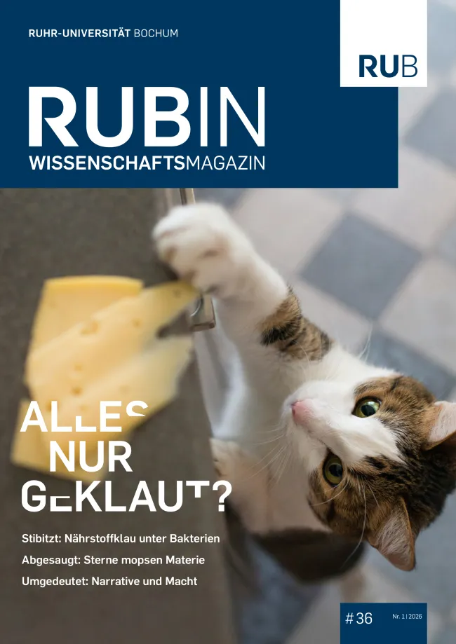 Cover des Wissenschaftsmagazins Rubin mit dem Schwerpunkttitel "Alles nur geklaut?"