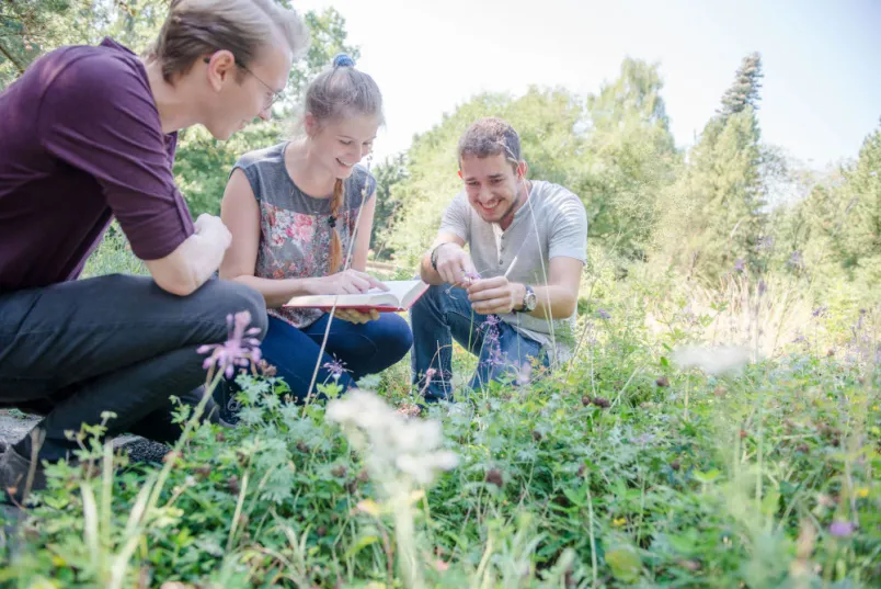 Drei Studierende hocken auf einer Wiese und schauen sich die Blumen an. Sie machen Notizen. 