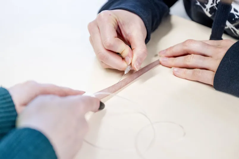 Hände halten ein Schwanzmodell, eine anderen Hand platziert eine Spritze