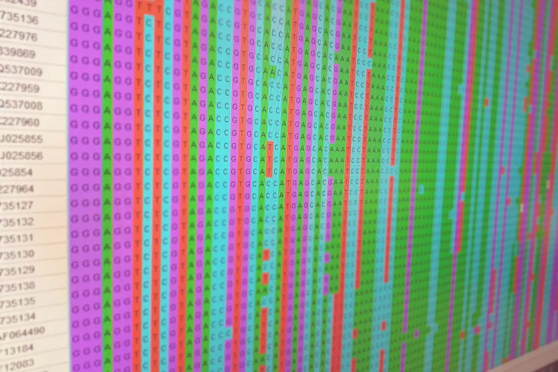 Blick auf einen Monitor mit bunden Spalten