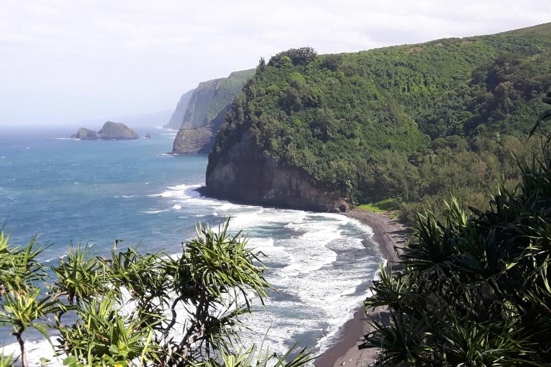 Küste Hawaii