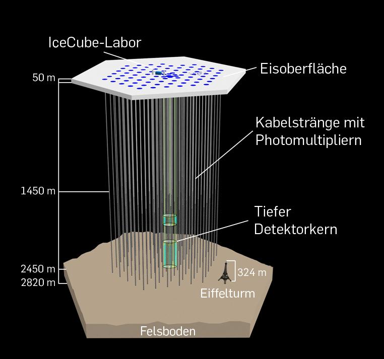 Grafik des Detektoraufbaus
