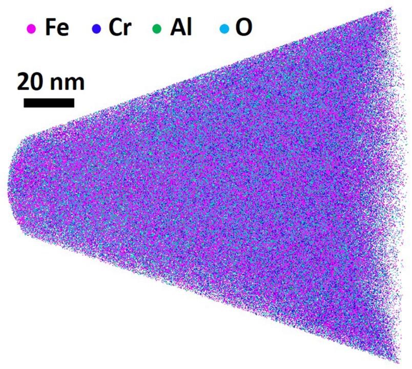 Aufnahme mit der Atom Probe