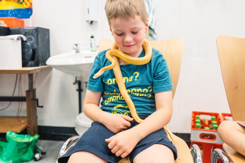 Kind trägt gelbe Schlange um den Hals