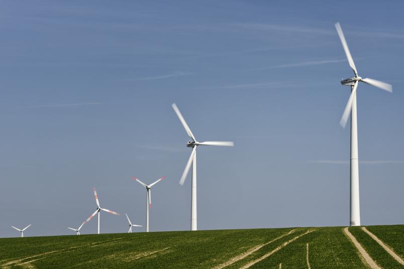 Windräder auf einem Feld