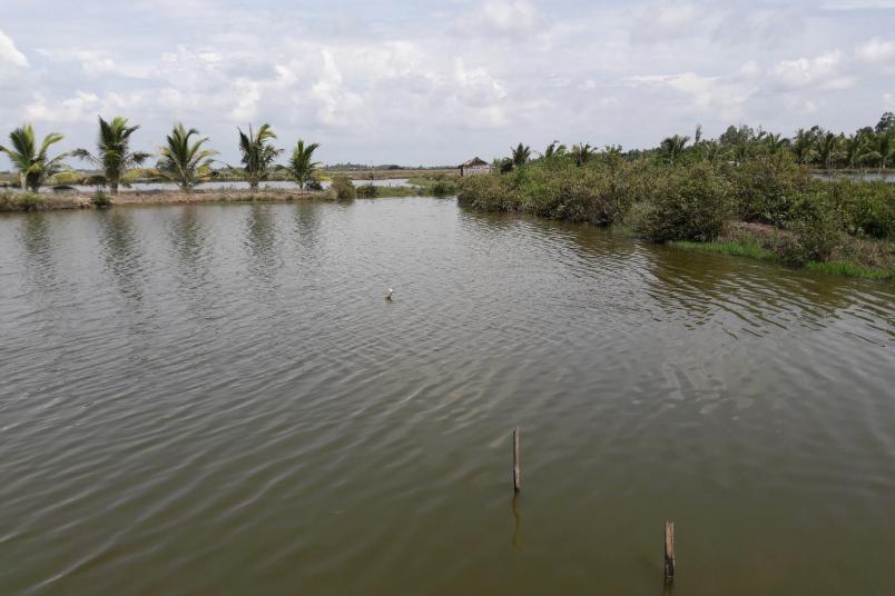 Typische Landschaft des Mekong-Delta