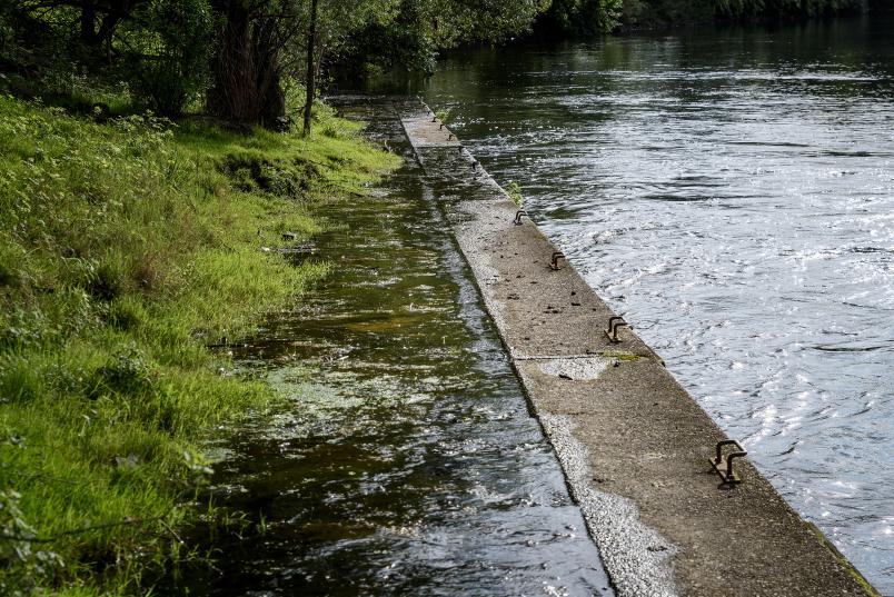 Wasser fließt in die Ruhr.