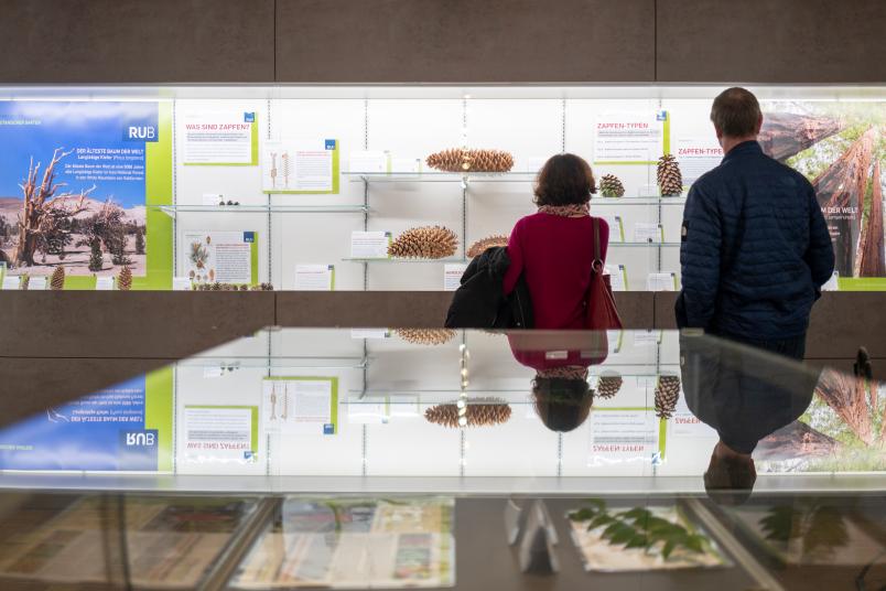 Vitrine