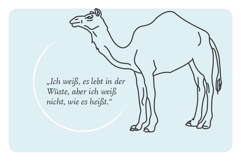 Zeichnung eines Dromedars