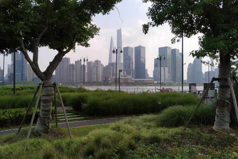 Park in Shanghai