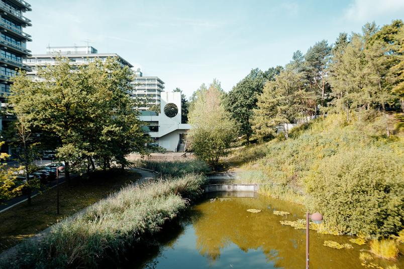 Teich auf dem Campus