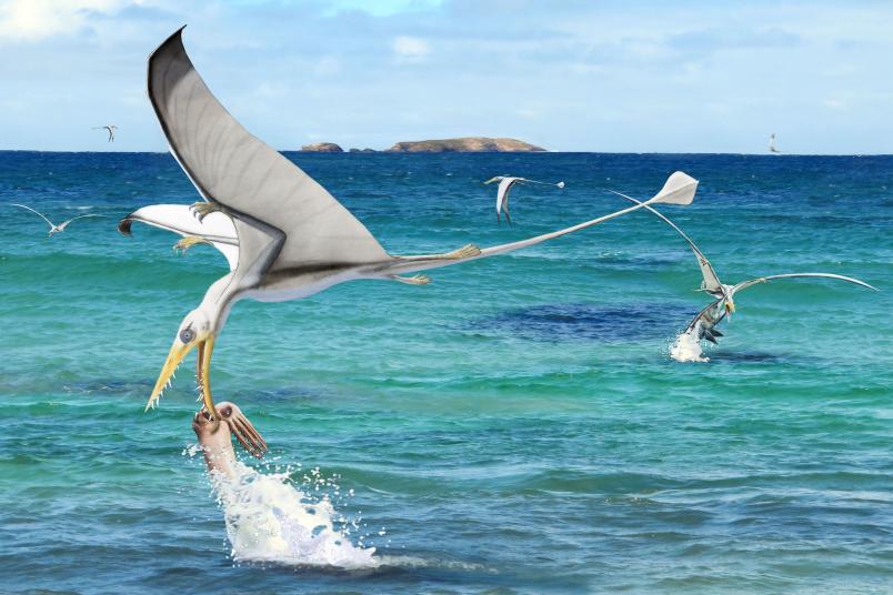 Flugsaurier schnappt Tintenfisch