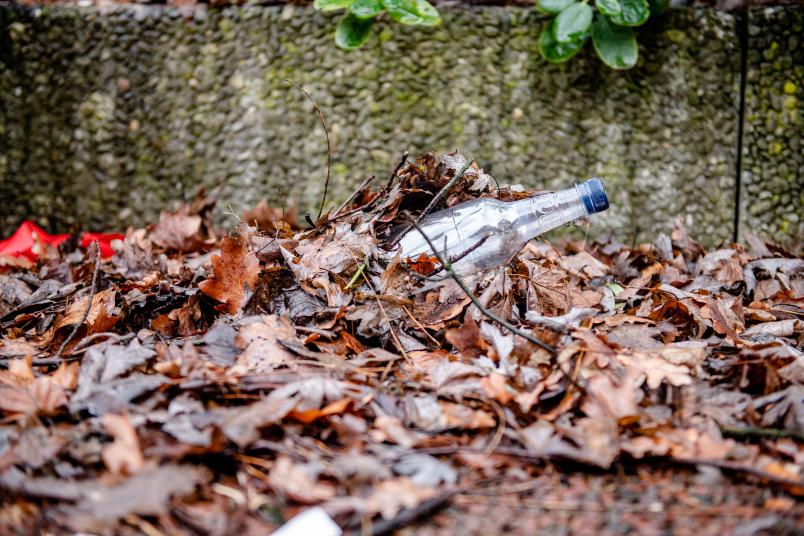 Plastikflasche liegt zwischen Blättern. 