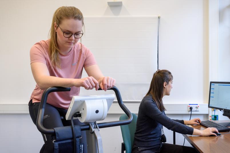 Ruhr-Universität Bochum, Rubin, Rückenschmerz, Forschung