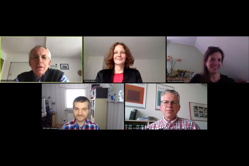 Screenshot einer Online-Konferenz