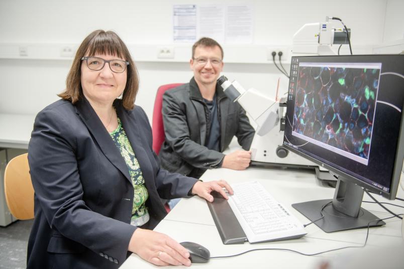 Eine Wissenschaftlerin und ein Wissenschaftler sitzen vor einem Bildschirm.