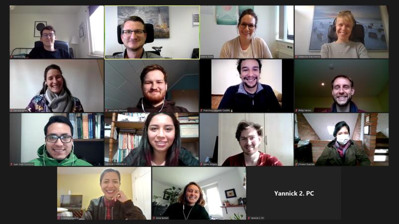 Bild aus einem Online-Meeting
