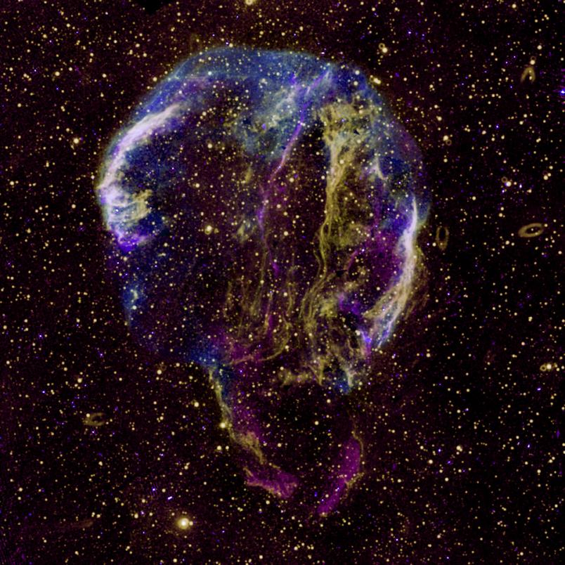 Cygnusbogen