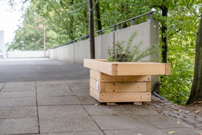 Blumenkasten auf Beton mit Pflanzen