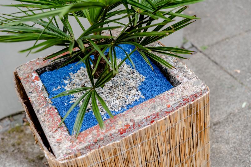 Betonblumenkübel mit Palme, blauem Sand und hellen Kieselsteinen