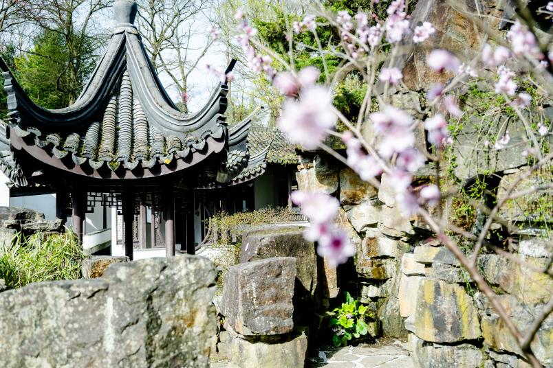 Chinesischer Garten der RUB