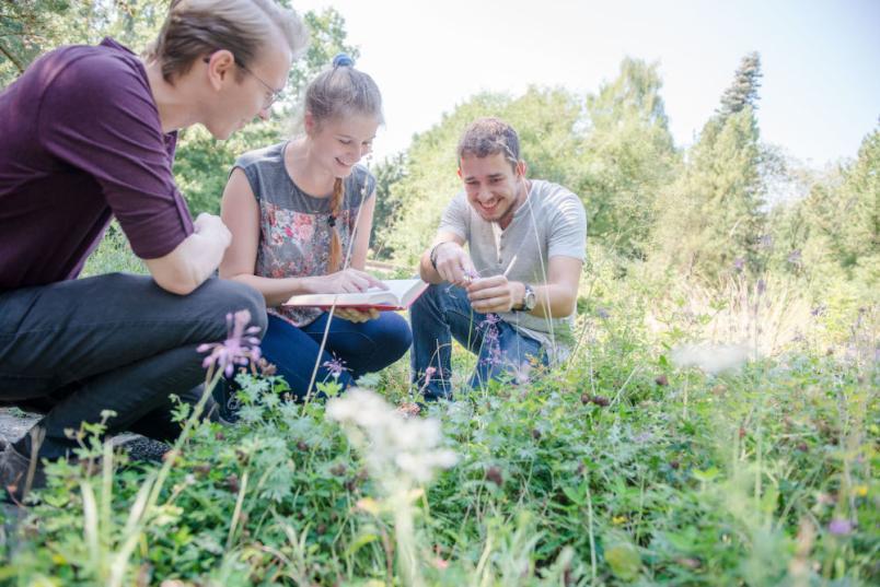 Drei Studierende hocken auf einer Wiese und schauen sich die Blumen an. Sie machen Notizen. 