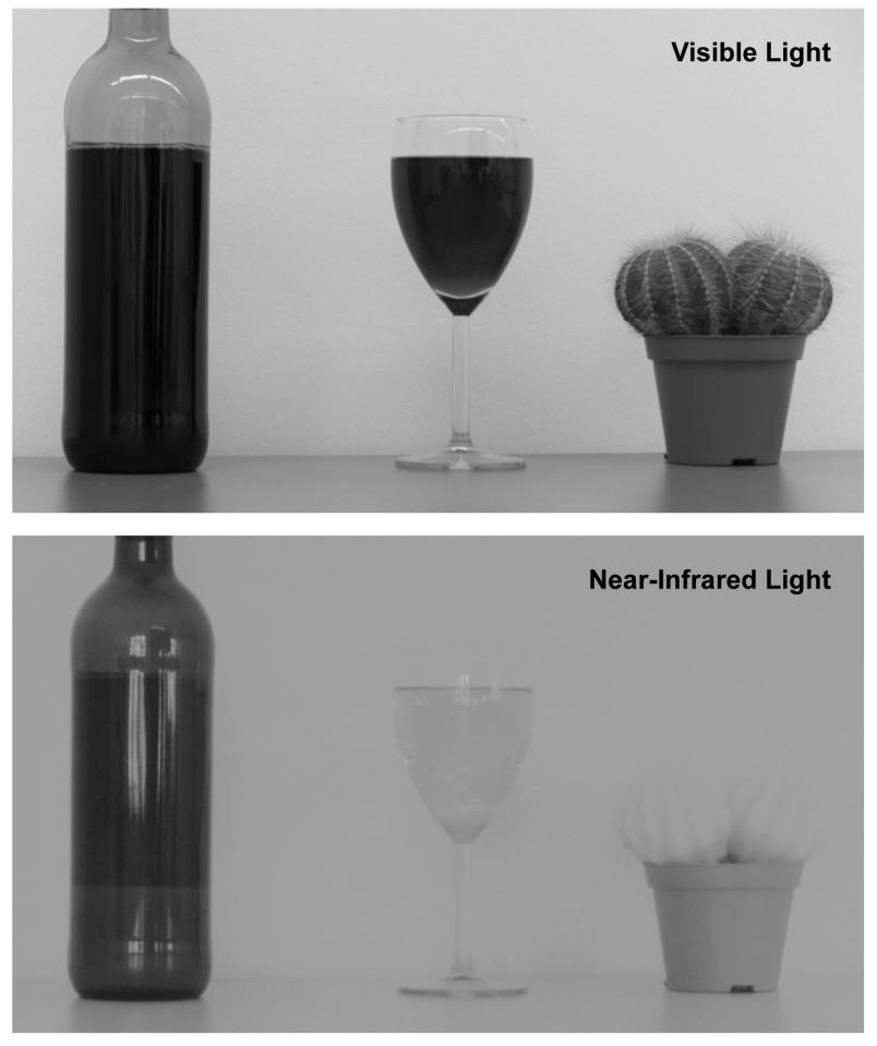 Zwei Fotos von einer Flasche, einem Glas mit Flüssigkeit und einem Kaktus, auf dem unteren kann man durch die Objekte hindurchsehen