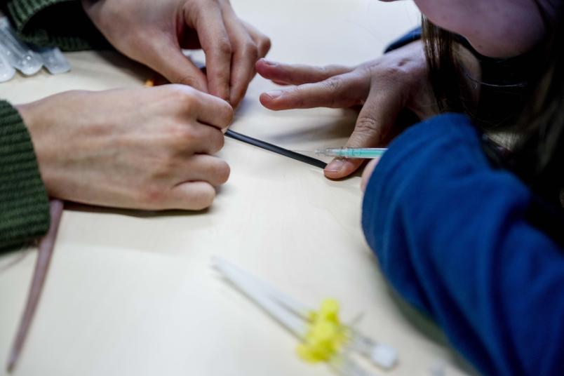 Hände halten einen künstlichen Mäuseschwanz