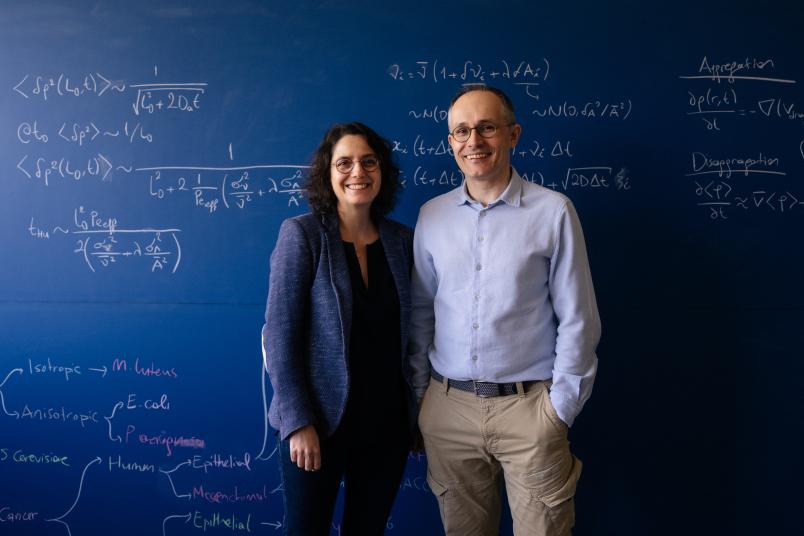 Porträt von Serim und Ömer Ilday vor einer Tafel mit mathematischen Gleichungen