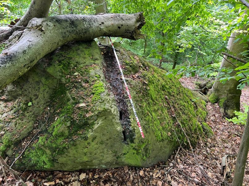 Bemooster Stein mit einer Furche