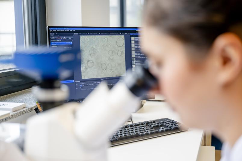 Eine Frau blickt in ein Mikroskop, im Hintergrund ist ein Monitor mit kleinen Blasen zu erkennen