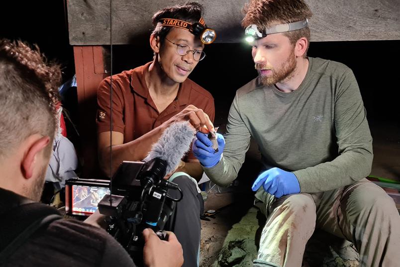 Forschende in Thailand mit einer Fledermaus werden gefilmt