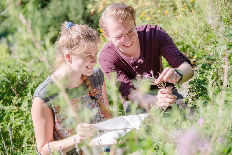 zwei studierende in der wiese