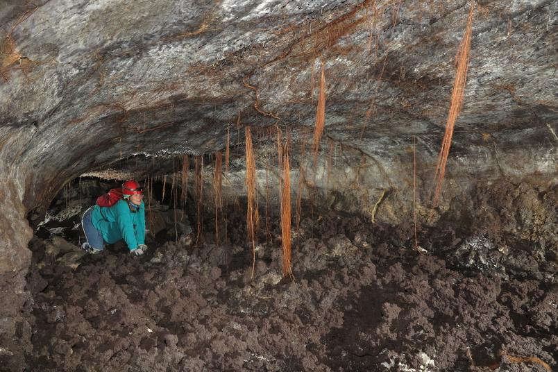 Wurzlen in Höhle